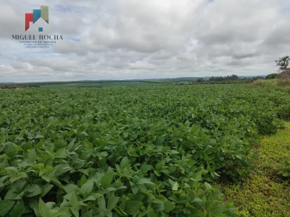 Imagem Fazenda região Itapetininga SP