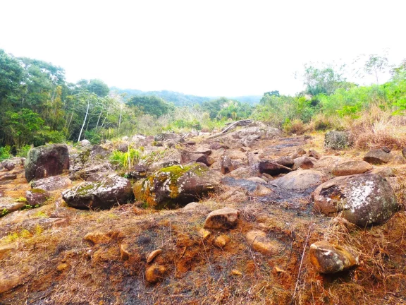 Imagem Terreno à venda em Garopaba-SC, bairro Macacu, 46.578,61m², com vista para Lagoa e Mar!