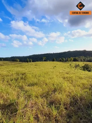 Imagem FAZENDA EM MATA DE SÃO JOÃO