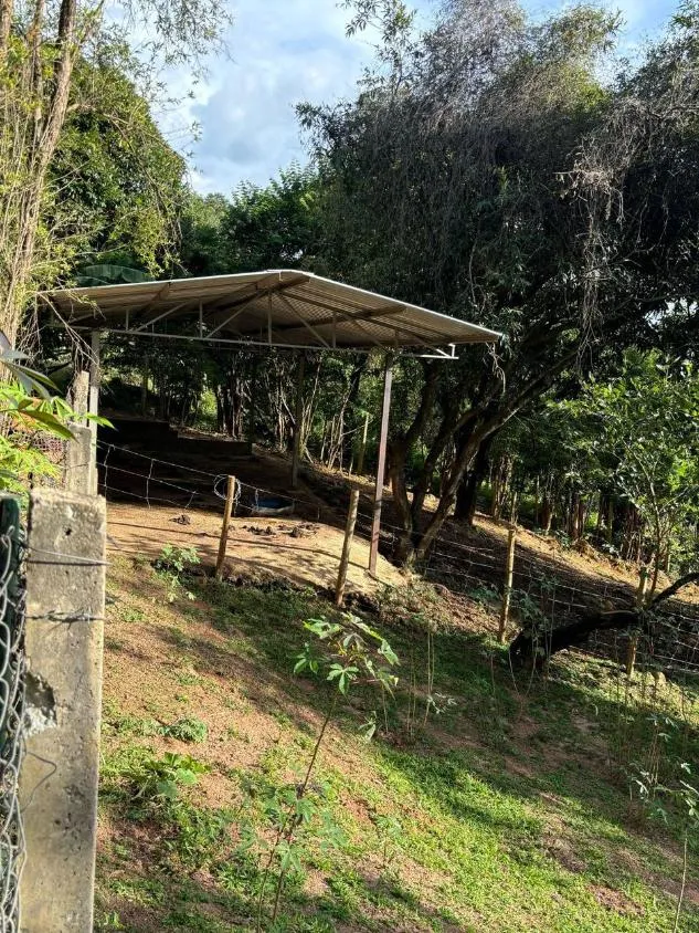 Imagem Lindo sítio a venda em Juatuba/MG , com 8.000 m²