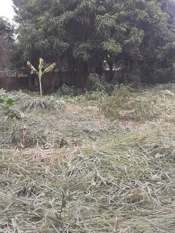 Imagem Terreno à venda, 1460 m² por R$ 84.000,00 - Distrito de Alagoas - Patos de Minas/MG