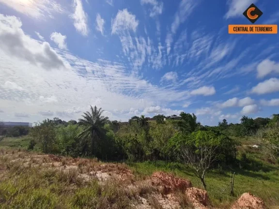 Imagem ÁREA - VIA PARAFUSO