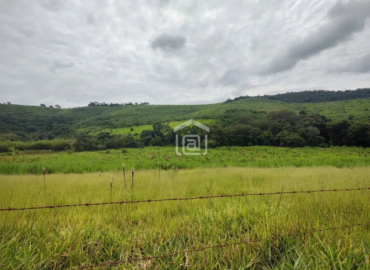 Imagem Fazenda 0,03 ha à venda em Zona Rural, Poços de Caldas