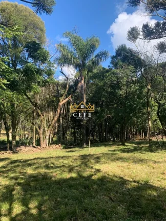 Imagem Chácara - Sítio com 3 Dormitorio(s) localizado(a) no bairro Linha Tapera em Gramado / RIO GRANDE DO SUL Ref.:1515
