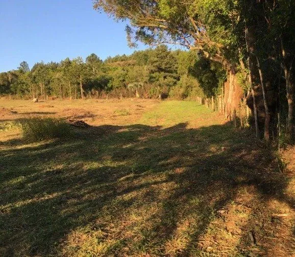 Imagem Terreno em Vila Nova