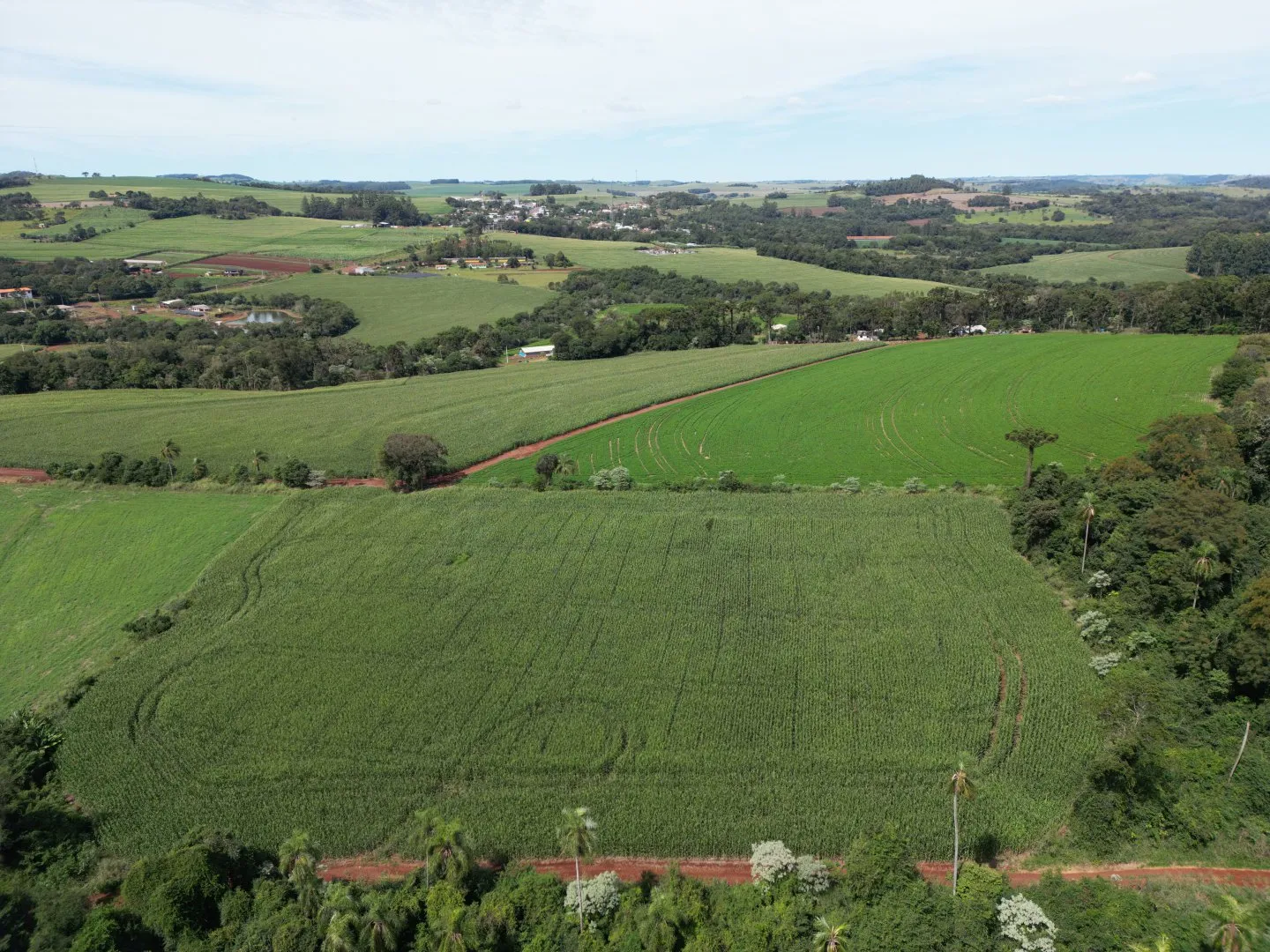 Imagem Chacara a venda em Rio do Salto Cascavel