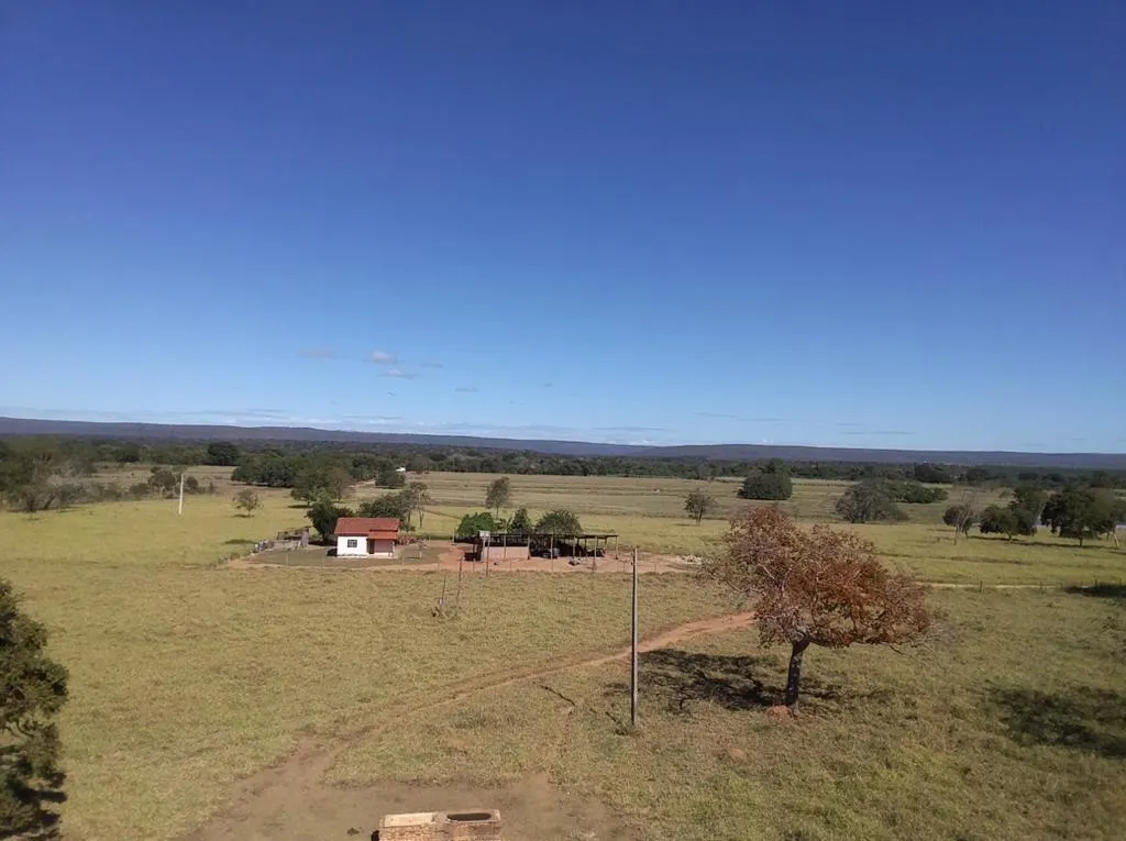 Imagem FAZENDA À VENDA - VÁRZEA DA PALMA (MG) 313 hectares de área total