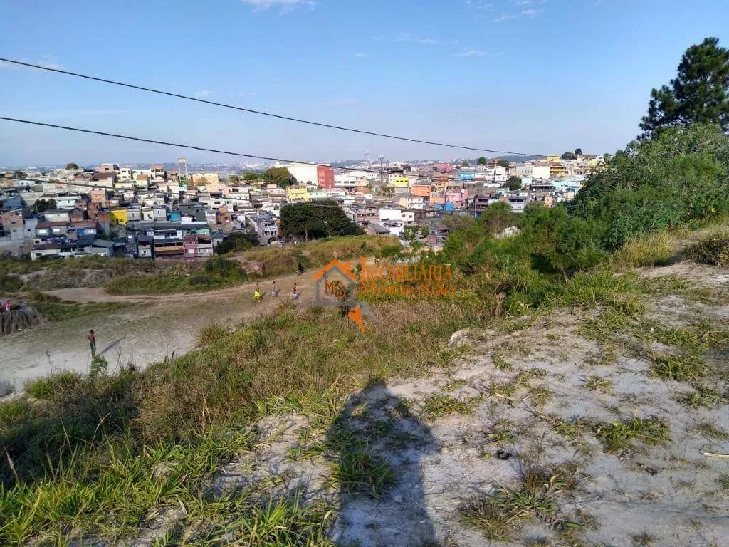 Imagem Área à venda, 39000 m² por R$ 25.000.000,00 - Parque Primavera - Guarulhos/SP