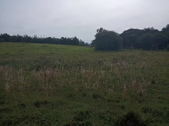 Imagem Área com 10.000m², com açudes, ótima localização, Águas Claras, Viamão