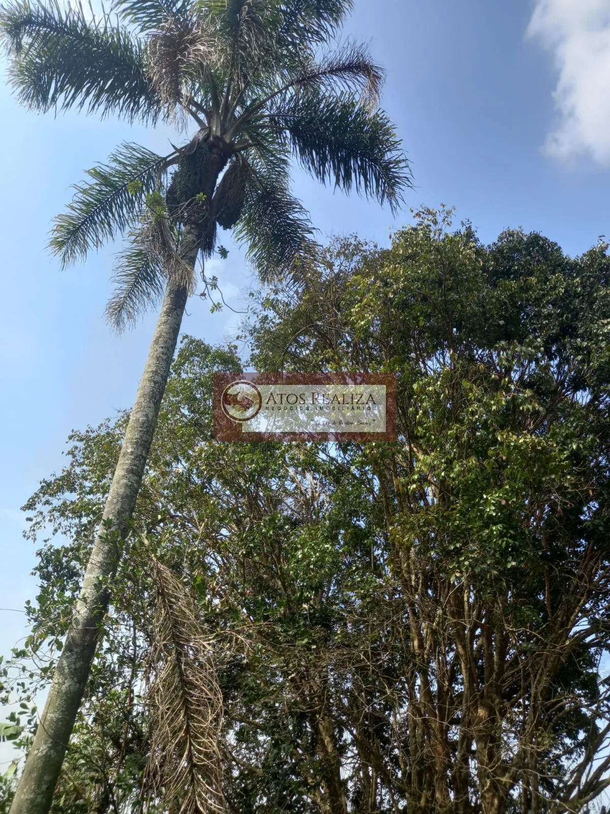 Imagem Terreno em Cidade Santa Julia - Itapecerica da Serra: venda e locação por R$ 350.000
