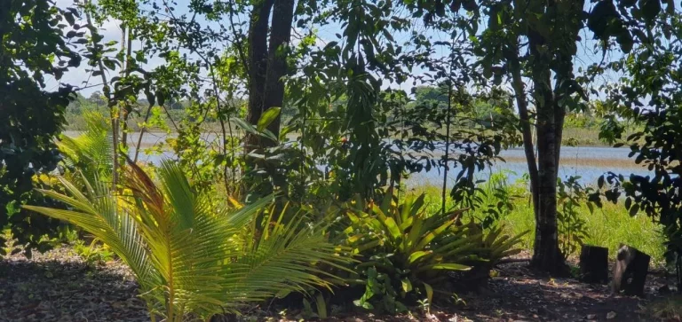 Imagem CASA DE VIDRO