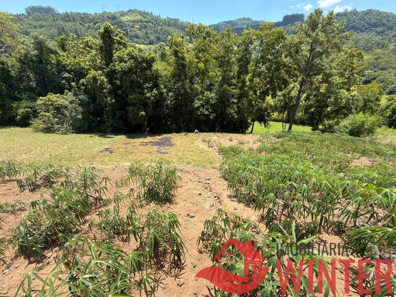 Imagem Terreno com 846,90 m2 no São Roque