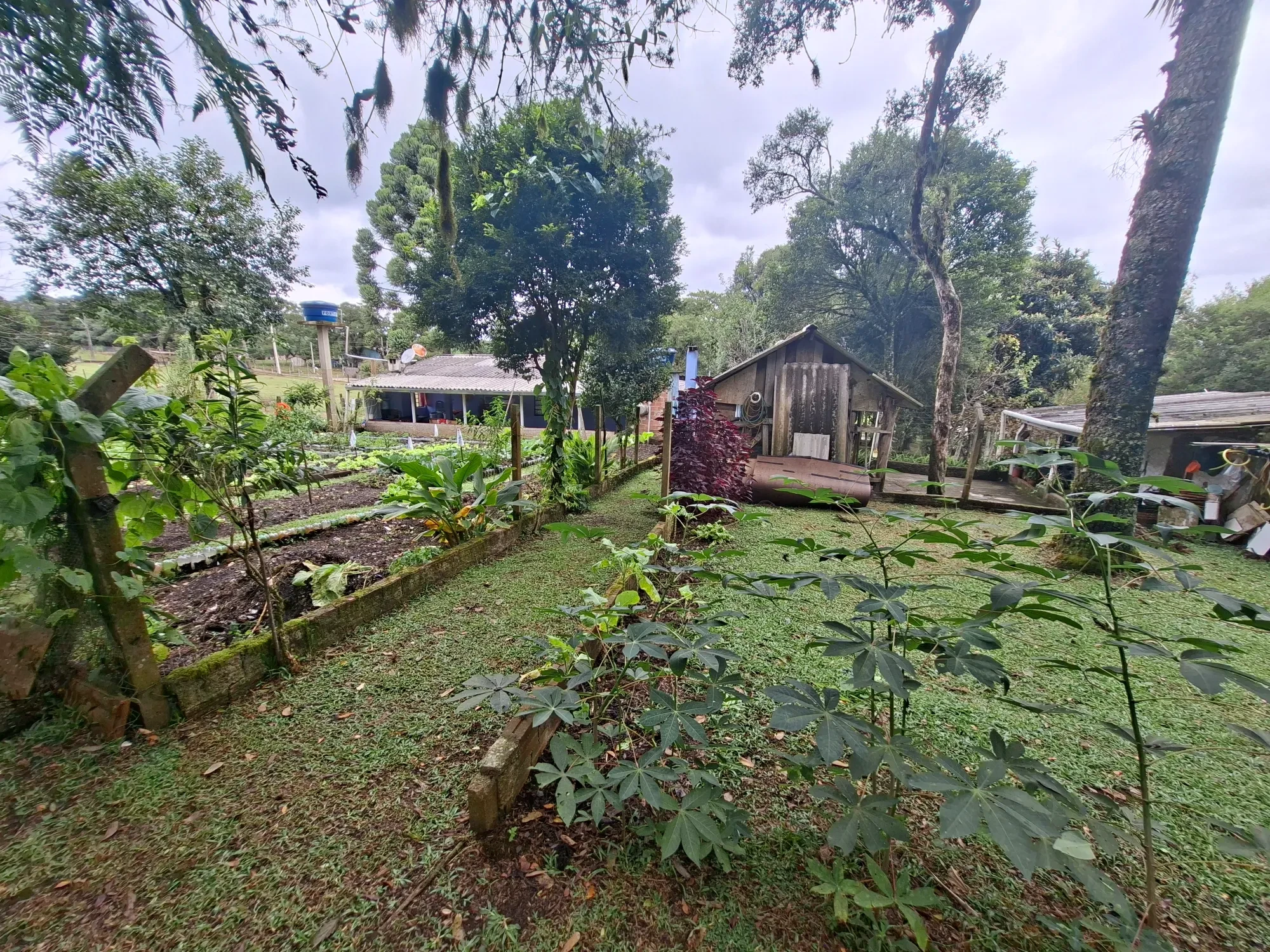 Imagem Chácara com 2 Quartos à Venda, 80 m² em Campo Alto - Tijucas do Sul