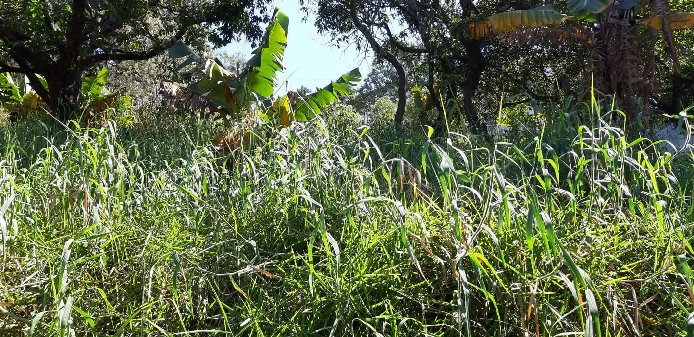 Imagem Terreno à Venda, 2.348 m² em Chácaras Marco - Barueri