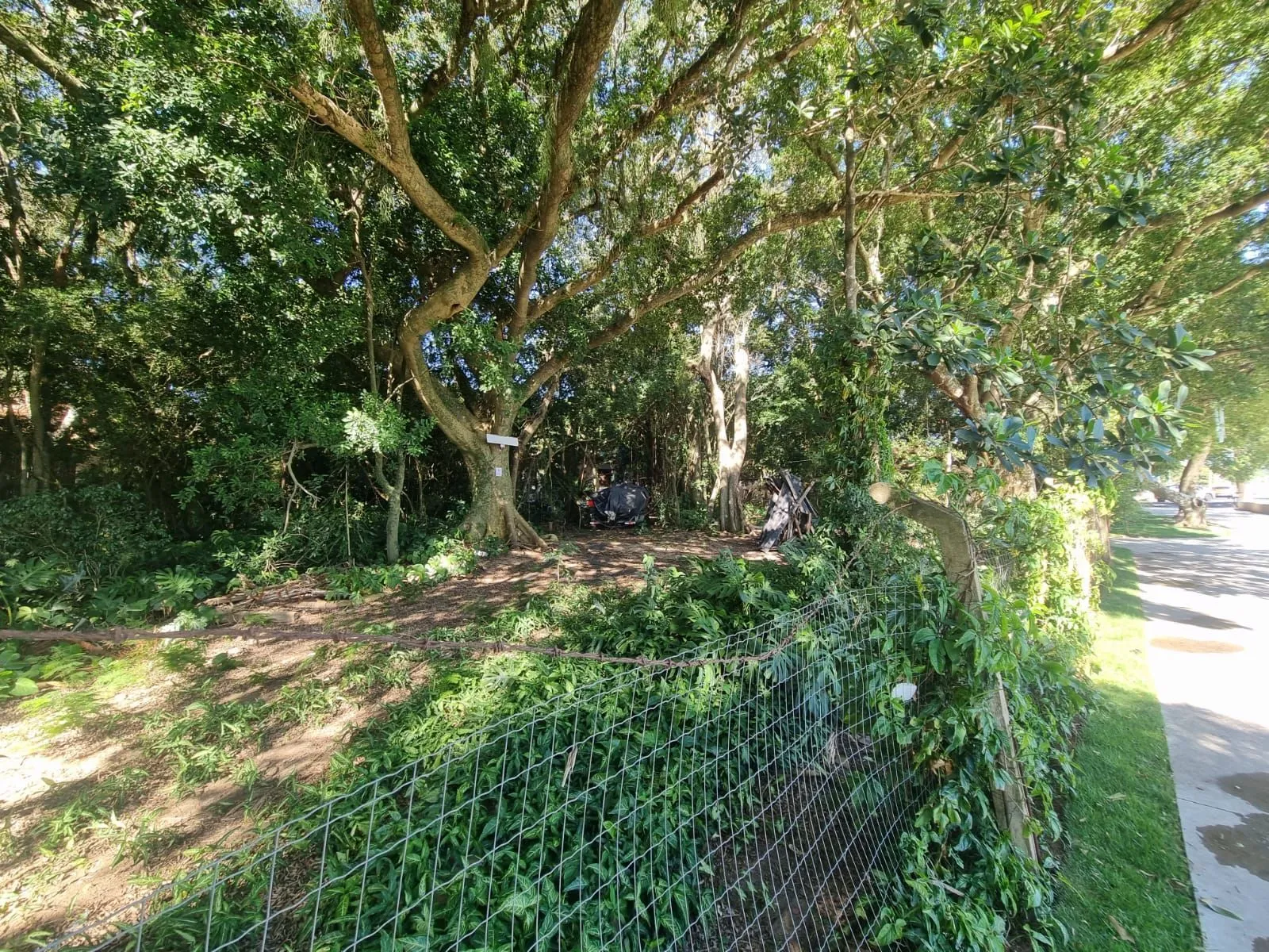 Imagem Terreno na Beira de Ipanema com 972m²
