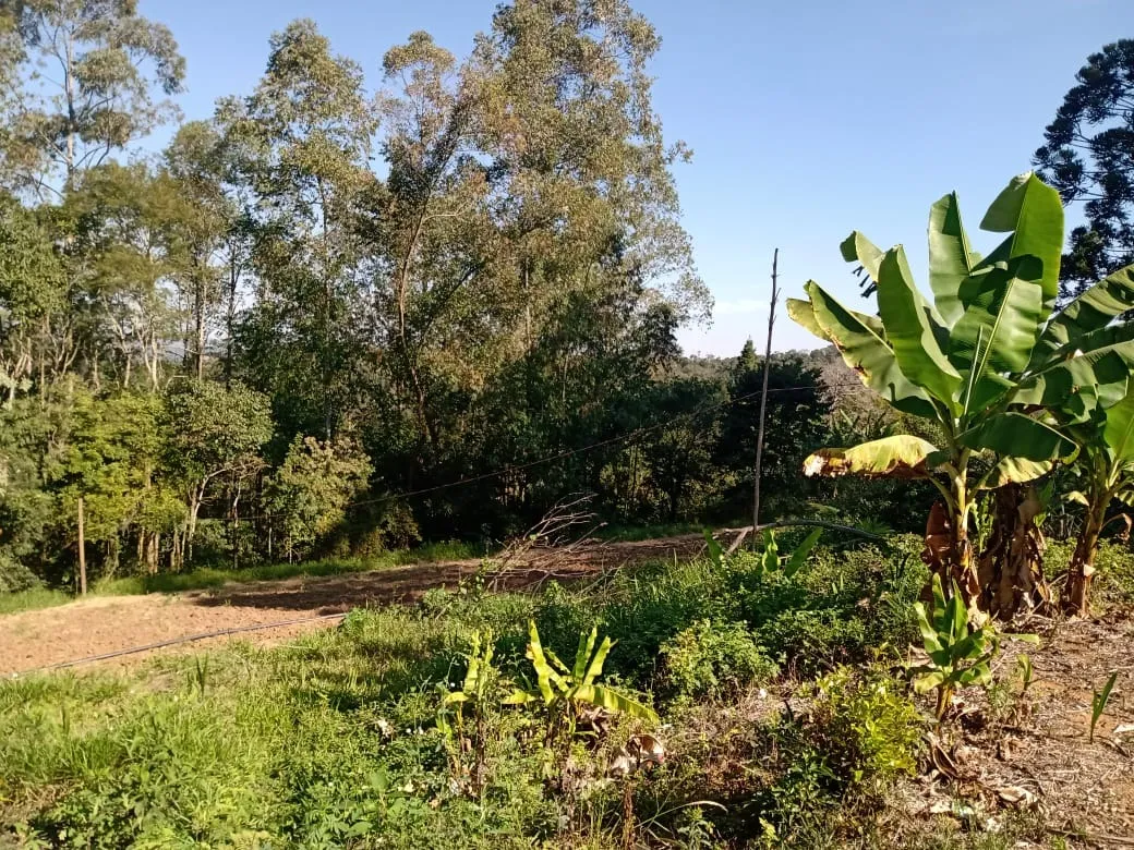 Imagem Encantador Sítio à Venda em Piedade/SP - Uma joia de 5 alqueires