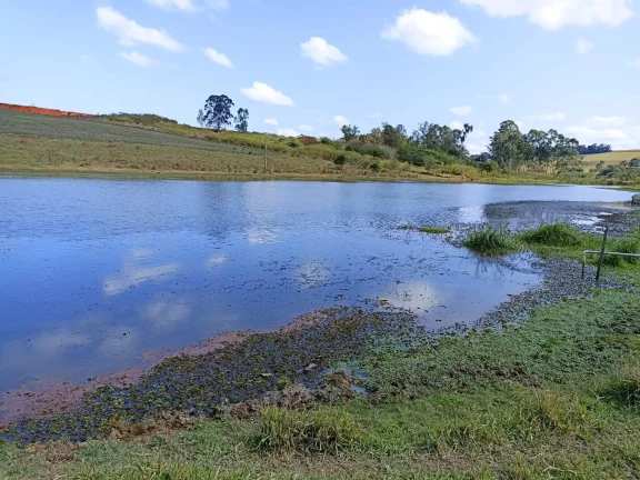 Imagem Sitio com água abundante - OPORTUNIDADE no Interior de São Paulo