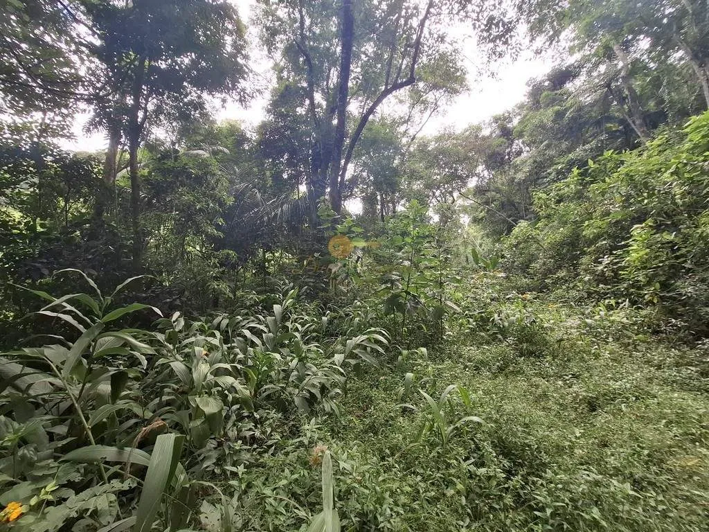 Imagem Terreno para Venda em Teresópolis / RJ no bairro Albuquerque