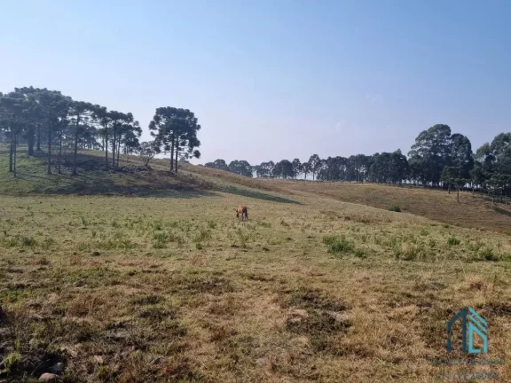 Imagem Sítio/Chácara a venda com 33 hectares bem localizado no interior de São Joaquim - SC