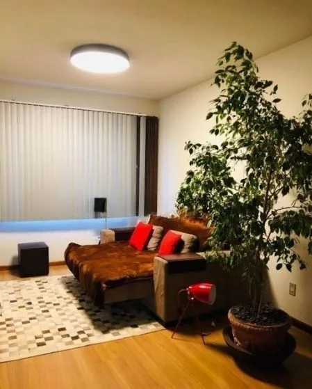 Imagem Apartamento no bairro Vila Ipiranga de 2 dormitórios e vaga