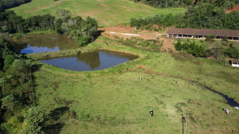 Imagem Área Agrícola para Venda em Concórdia, Interior