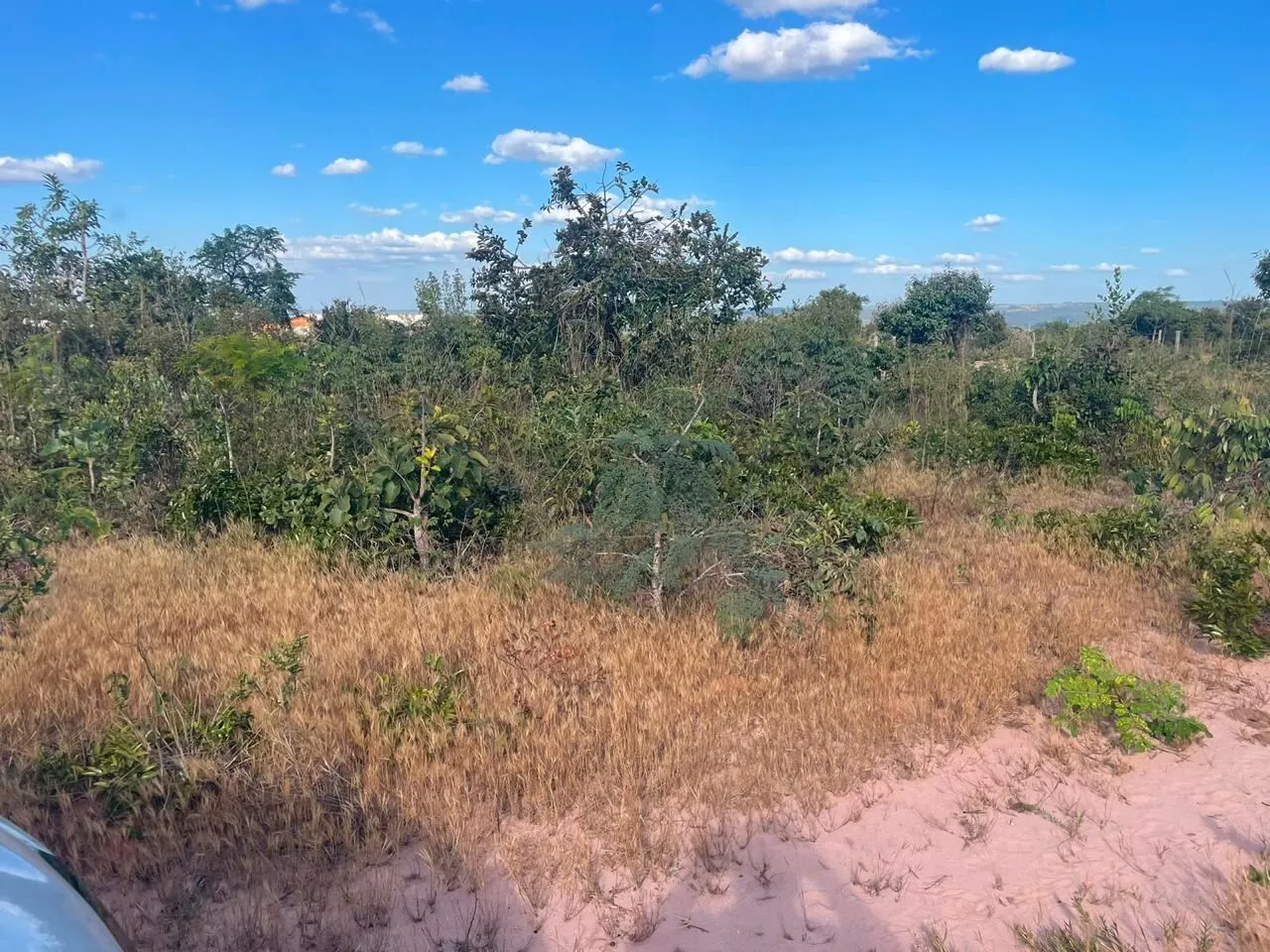 Imagem Lotes no Ecovila Flamboyant