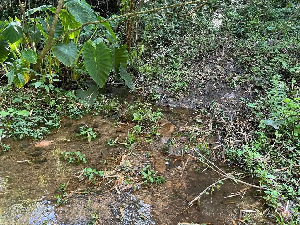 Imagem Chácara à venda em Gramado, Centro, 20000m2