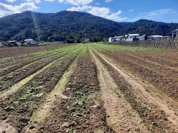 Imagem Terreno à Venda, Plano, Nível da Rua, com 11.089 m2. Sul do Rio, Santo Amaro da Imperatriz, SC