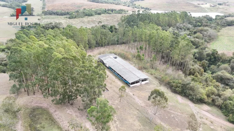 Imagem Sítio região de Itapetininga SP