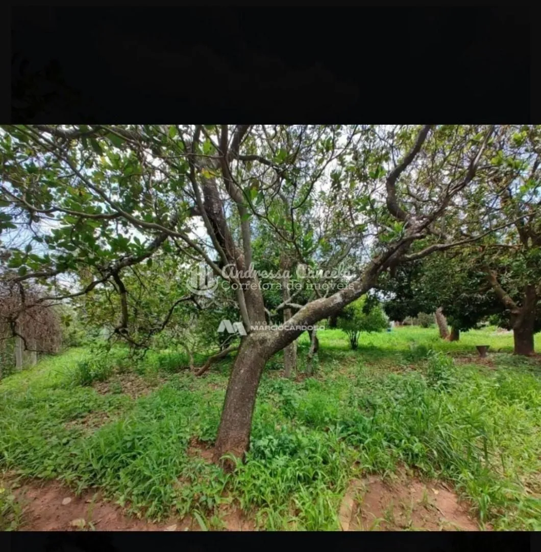 Imagem Chácara com 4 dormitórios à venda, 2500 m² por R$ 550.000,00 - Chácaras de Recreio Felicidade (Zona Rural) - São José do Rio Preto/SP