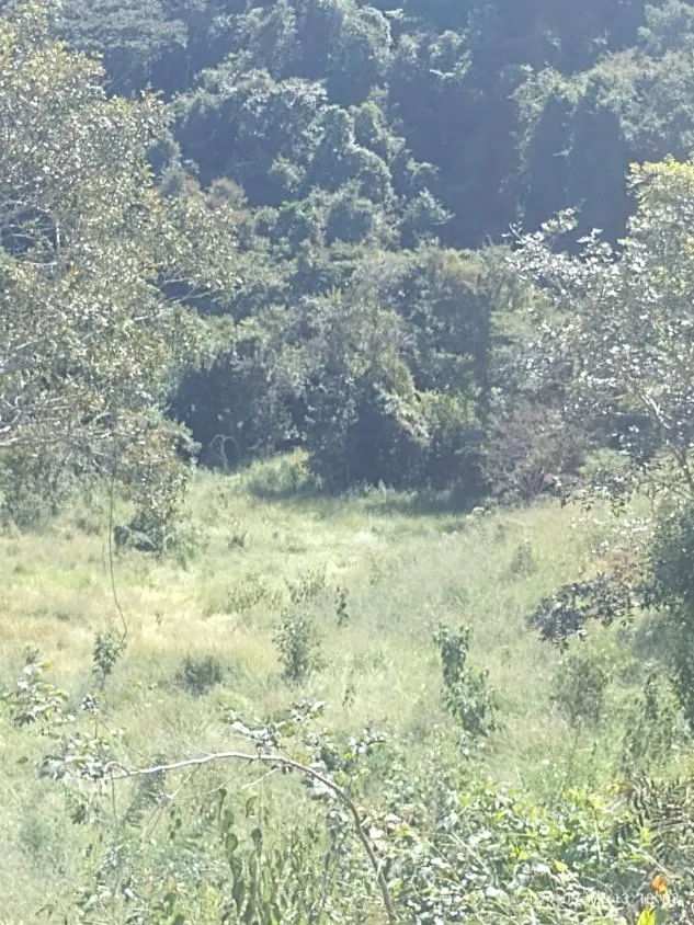 Imagem Ótima Oportunidade em Itaguara/MG: Terreno de 6 Hectares no Povoado Boa Vista