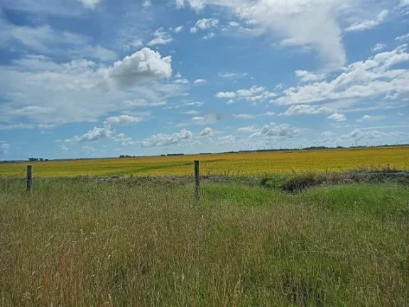 Imagem Fazenda à Venda – 194 Hectares – Viamão/RS
