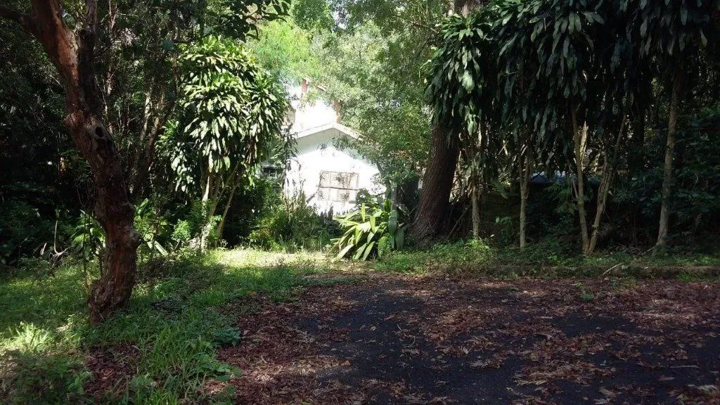 Imagem Area para Venda - 0m², 0 dormitórios, Ponta Grossa