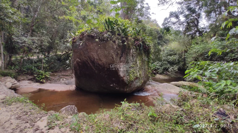 Imagem Sítio a VENDA, com várias lindas cachoeiras, a 4Km da SC 108, de fácil acesso. Lugar Maravilhoso em meio a natureza! Propriedade ótima para investime