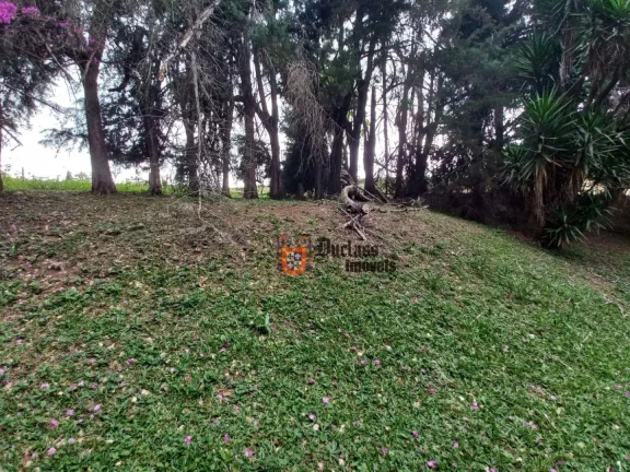 Imagem Área à venda, 21140 m² por R$ 2.500.000,00 - dos Pessegueiros - Extrema/MG