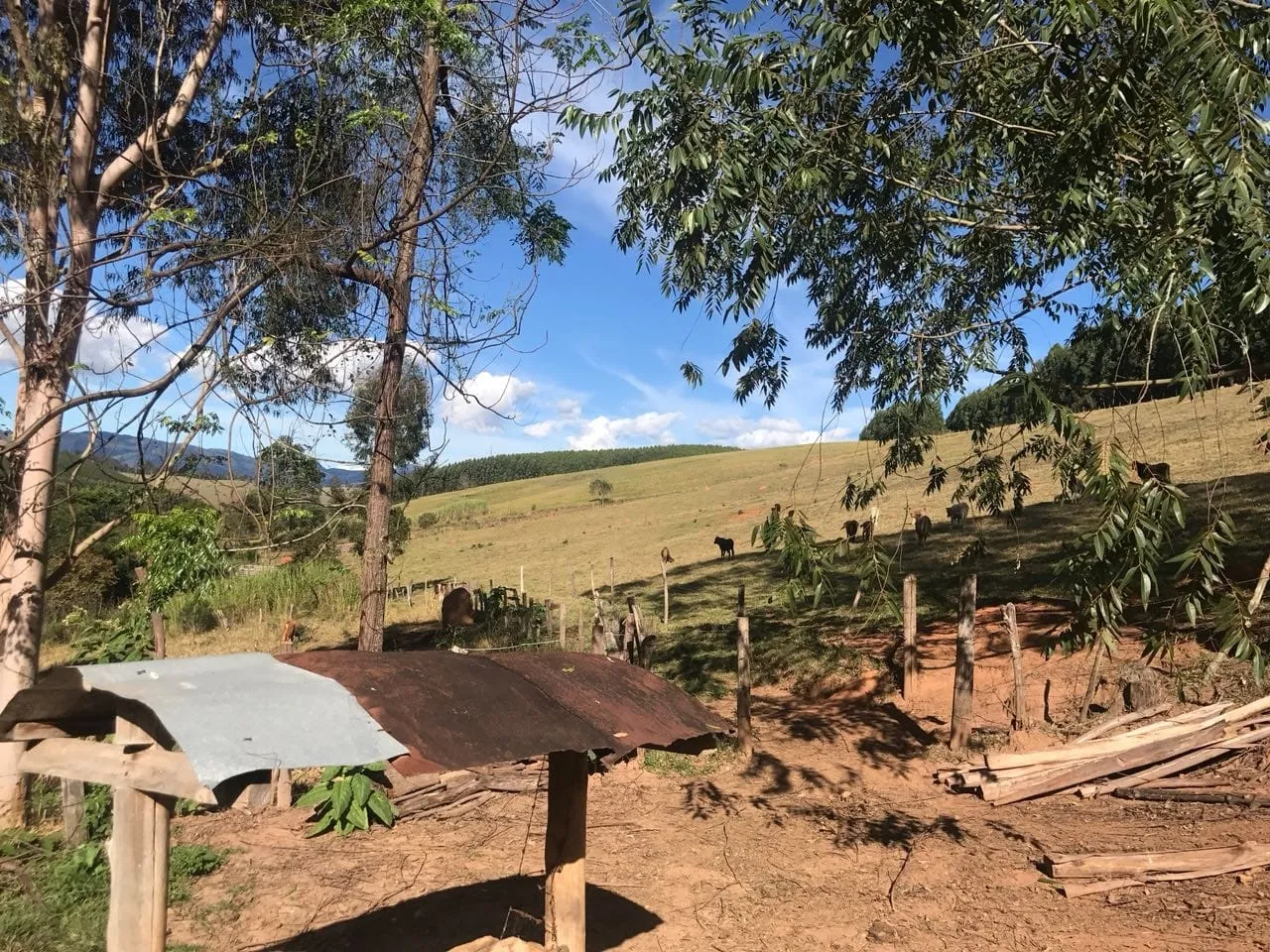 Imagem Chácara à venda 3 Quartos, 157000M², Bailaiero, Cunha - SP