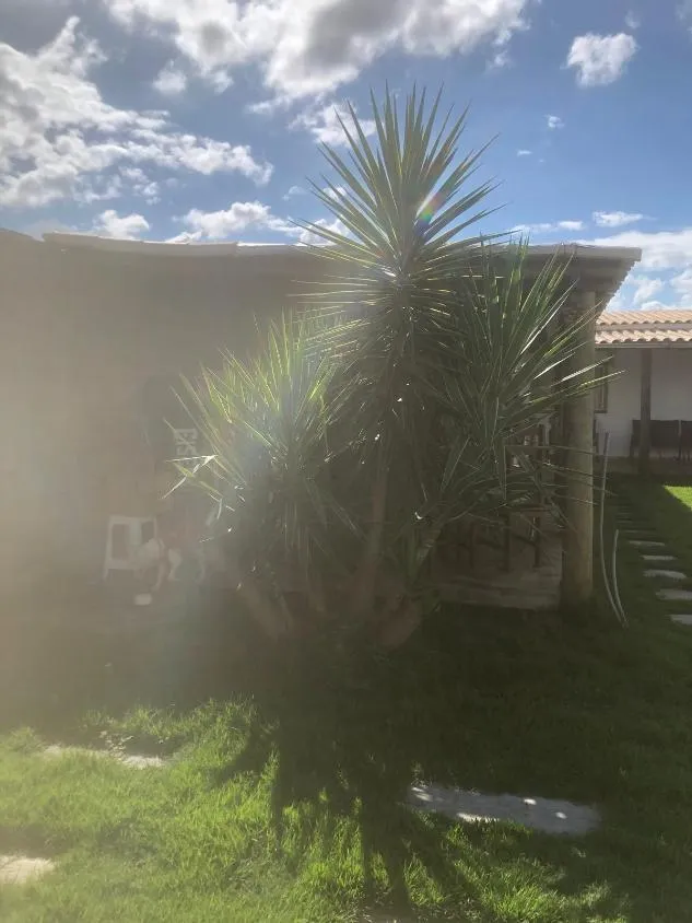 Imagem Vendo uma linda chácara na divisa de Igarapé / Mateus Leme, com 500 m²