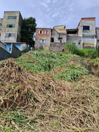 Imagem Terreno - São Paulo - SP - Jardim Brasília (zona Leste)