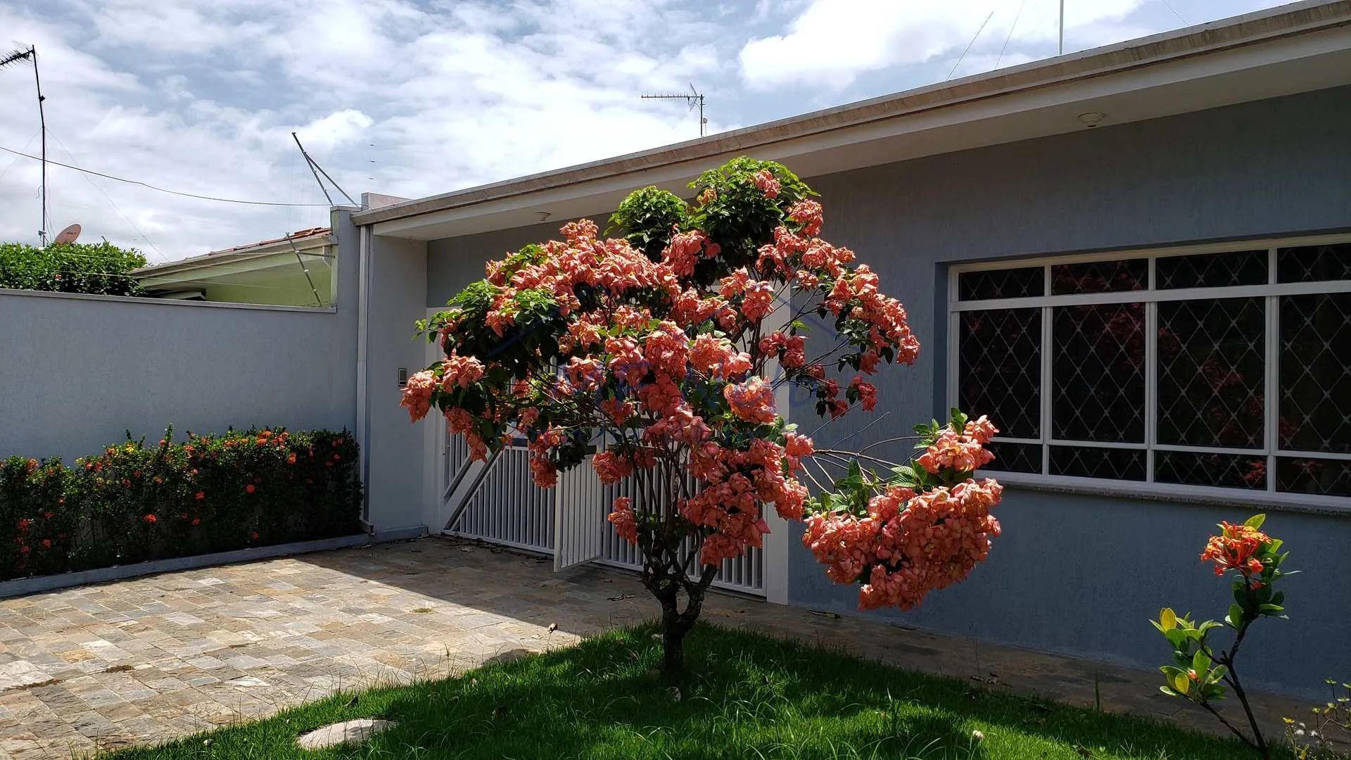 Imagem Casa Padrão