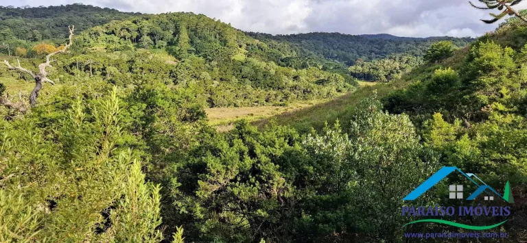 Imagem Terreno Exclusivo nas Alturas: Seu Refúgio de Sonho em Costas, Paraisópolis