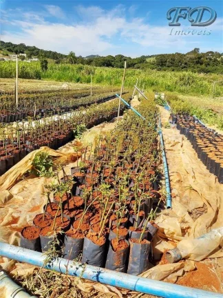 Imagem EXCELENTE SÍTIO EMATIBAIA-SP Características: 3,5 alqueires de área total (aprox. 75.000,00 m²) ...