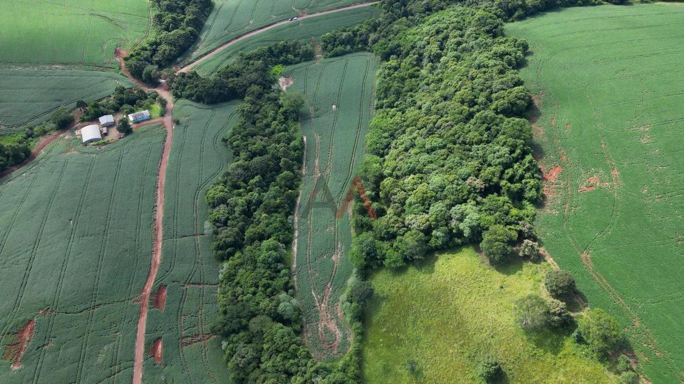 Imagem Àrea de plantio a venda em PITANGA - PR, 12ha sendo 10ha de plantio.