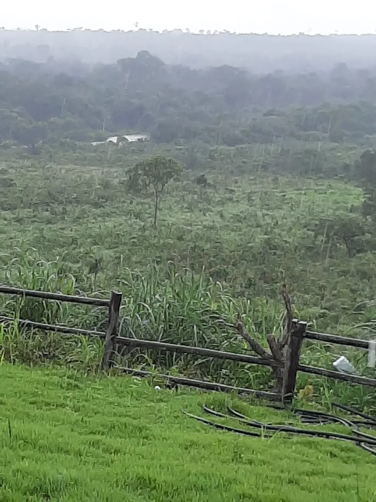 Imagem Fazenda à Venda, 600 HA em Floresta do Araguaia - Floresta do Araguaia