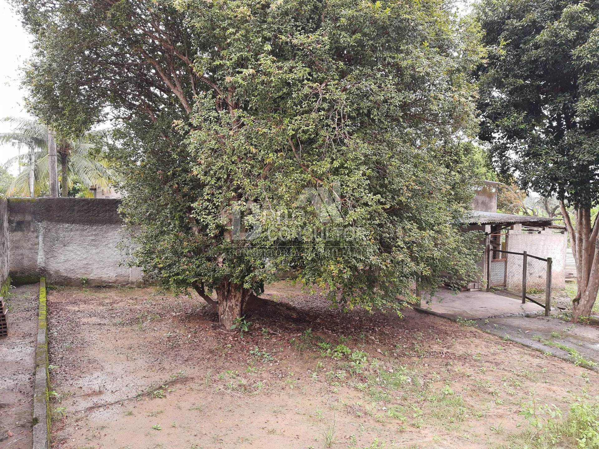 Imagem Vendo Sitio em Vista Alegre com 2790 M² - Vista Alegre - São Gonçalo/RJ
