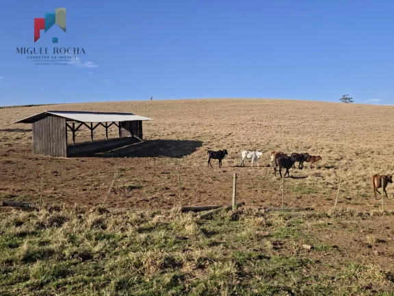 Imagem Fazenda a venda Capão Bonito SP