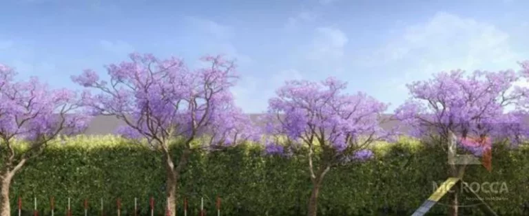 Imagem Apartamento 2 dormitórios, Patteo São Bernardo - São Bernardo do Campo