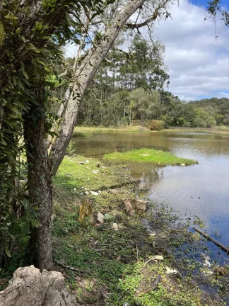 Foto do imóvel Área Rural em Colombo - 44 mil metros - R$750 mil