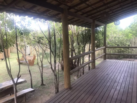 Imagem TERRA DOS PÁSSAROS