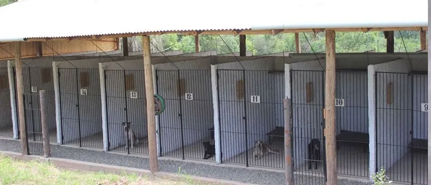 Imagem Sítio em Itapuã