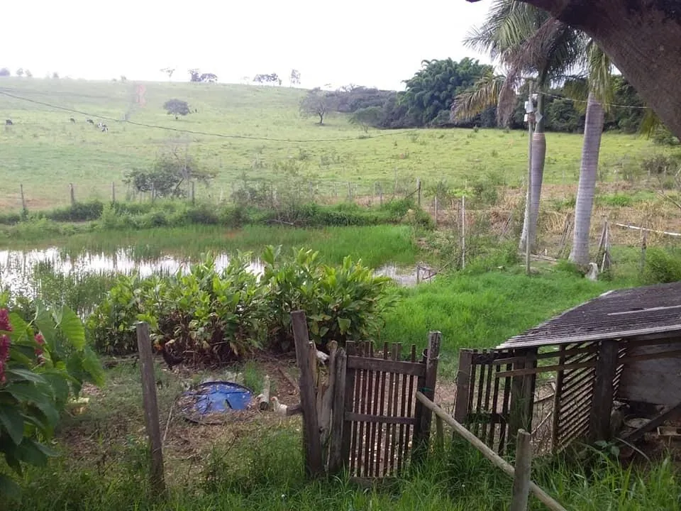 Imagem Terreno Espetacular à Venda em Carmópolis de Minas /MG 42 hectares de terra